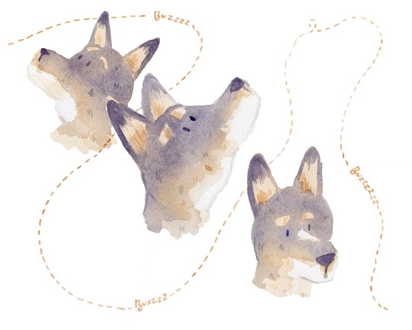 Work Sample